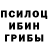 Галлюциногенные грибы GOLDEN TEACHER Rina Bell