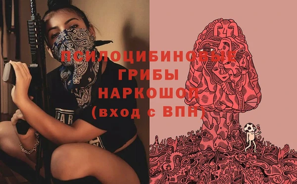прущая мука Кинешма